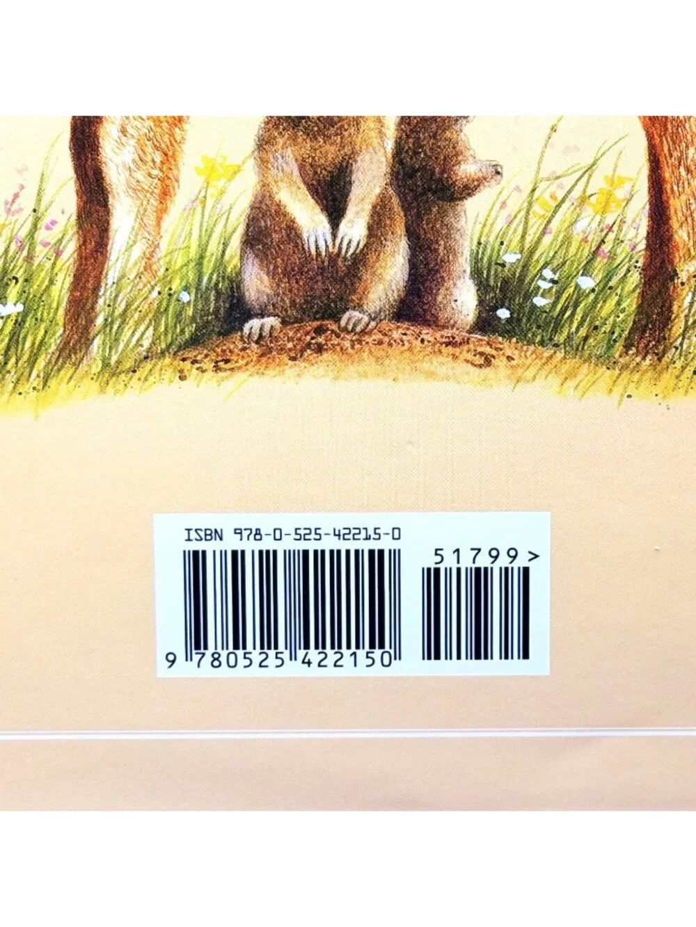 Buffalo Are Back Jean Craighead George 2010 HC Ex Library Dust Jacket